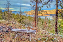 IMG-20240312-WA0000-002