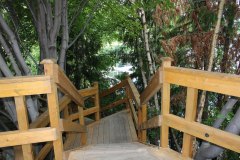 La-Casa-Image00009